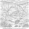 Preview - Landscapes of Patagonia - French (PDF) - page 15 paysages coloriage patagonie