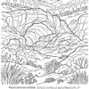 Preview - Landscapes of Patagonia - Spanish (PDF) - page 15 libro colorear paisajes patagonia