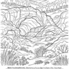 Page 15 of the Landscapes of Patagonia coloring book