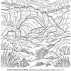 Pagina 15 del libro de colorear Paisajes de Patagonia