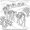 Pagina 20 del libro de colorear La Historia de la Natividad