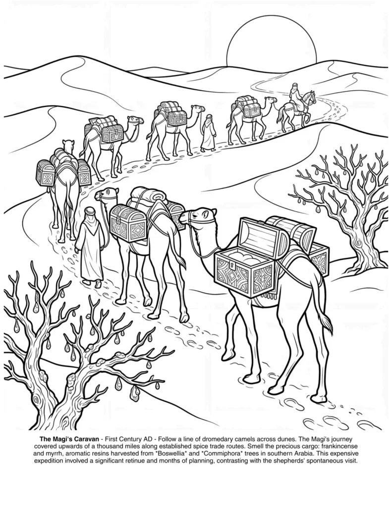 The Christmas Nativity Story: the Coloring Book